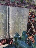 image of grave number 966134